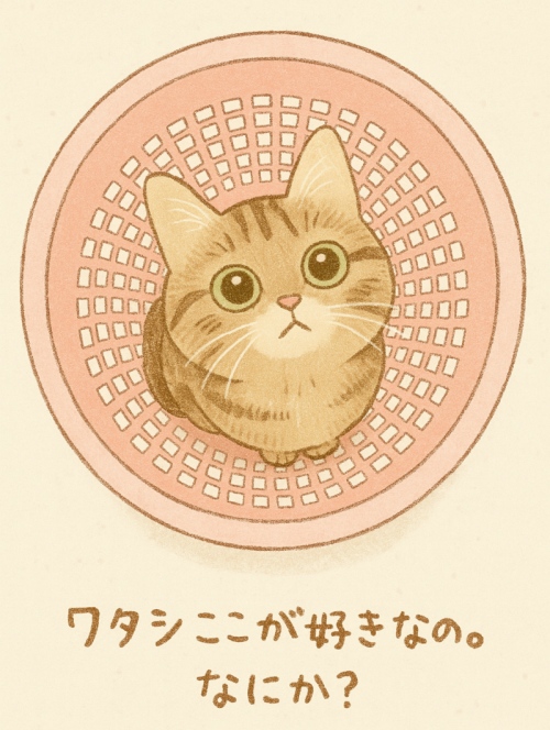 自由な猫